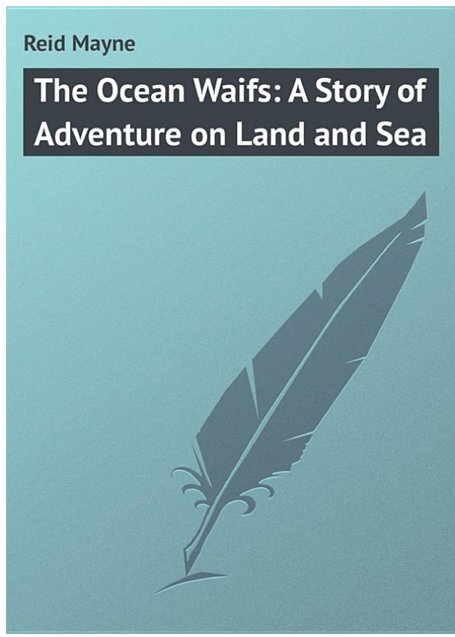 The Ocean Waifs: A Story of Adventure on Land and Sea